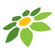 SAKURA888